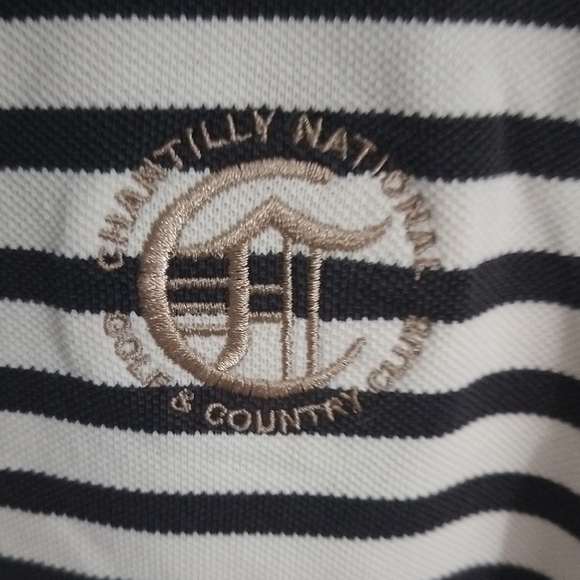 Striped Polo Shirt with Embroidered Logo - Picture 2 of 7